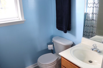 Bathroom Decor in Blue