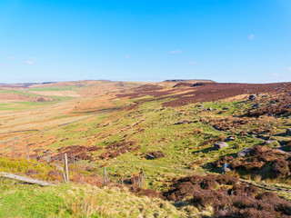 Fototapeta na wymiar Over undulating moorland to a distant Higger Tor, in the Derbyshire Peak District.