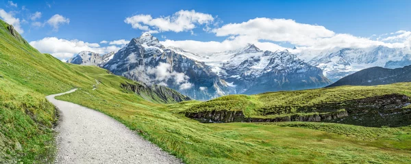 Fototapeten Wanderurlaub in den Schweizer Alpen bei Grindelwald © eyetronic