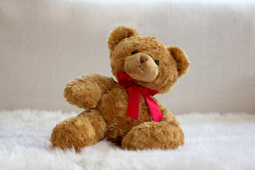 teddy bear with red bow on fur