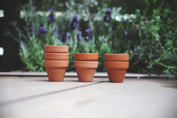 女の子,顔なし,１人,手,植物,コピースペース,イメージ,エコ,エコロジー,環境問題,考える,自然,葉,eco,明るい,地球温暖化,エコロジーイメージ,屋外,木,ラベンダー,鉢,植木鉢,素材,省エネ,ハーブ,ガーデニング,鉢植え,環境,日本人,かわいい,テラコッタ,園芸,庭,温暖化,紫,素焼き,香り,ベランダ,バルコニー,おしゃれ,洋風,こども,さわやか,住まい,リラックス,雑貨,遊び,お手伝い,