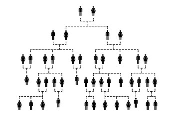 Complicated family tree of several generations on white - 258720826