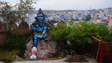 Neelkanth Surveying the City of Jodhpur!