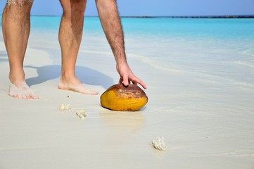 coconut on the white beach