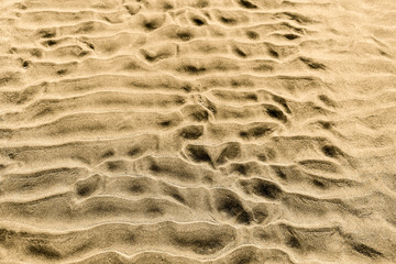 Desert sand