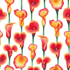 Watercolor pattern of Calla Lily flowers in yellow and red colors