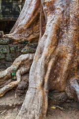 Angkor Wat, Siem Reap, Cambodia.