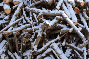 wooden logs, firewood under the spring snow.  slices of wood looks beautiful in the snow