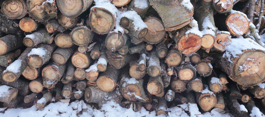 wooden logs, firewood under the spring snow.  slices of wood looks beautiful in the snow