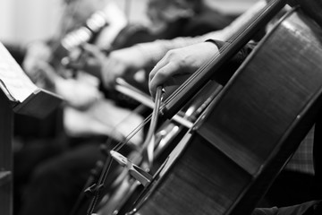 The hands of a musician playing the cello in black and white tones
