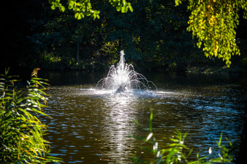 Fountain on the lake in the landscape park Mezhigirya near Kiev, Ukraine