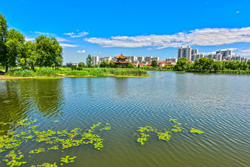 Obraz premium HDR Effect of River Landscape in Urban Parks