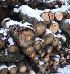 wooden logs, firewood under the spring snow.  slices of wood looks beautiful in the snow