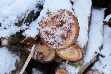 wooden logs, firewood under the spring snow.  slices of wood looks beautiful in the snow