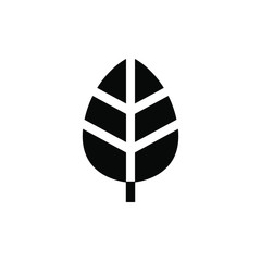 leaf icon
