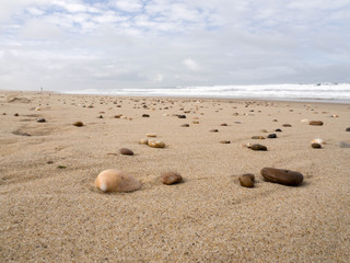 Fototapeta na wymiar Shells and rocks on the beach at low tide