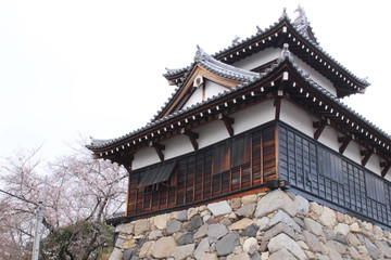 When the spring comes, we start to look forward to the Cherry blossom viewing （picnic party） in Japan.