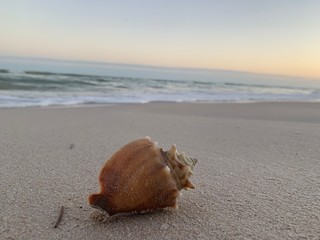 Una vista increíble del mar amaneciendo 