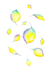 Watercolour hand drawn illustration with bright leaves isolated on the white background.