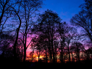 Fototapeta premium spectacular colorful sunset in the spring