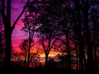 spectacular colorful sunset in the spring