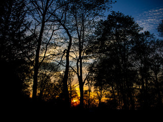 yellow and blue sunset in the spring