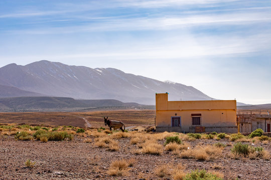Rural Landscape Scene with a Home and Donkey in Midelt Morocco