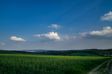 Taunus bei Kemel Landschaft 