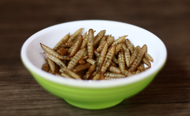 Dried caterpillars on wood background for animal food.