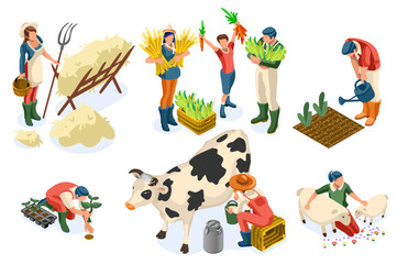 Flat tractor set. Farmer, agricultural worker with plant, chicken, sheep, rabbit, cow, milk, fruit or feeding farm animal. Harvest man with apple. Girl isometric images isolated on white background.