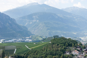 green summer vineyard landscape beautiful nature of Switzerland