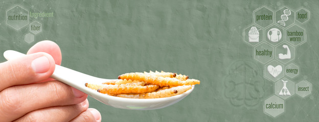 Food Insects: Man hand holding Bamboo worm insect on spoon and icon nutrition media. Bamboo Caterpillar snack deep-fried is good source of protein edible. Entomophagy concept. © nicemyphoto