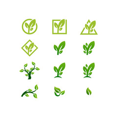 leaf logo bundle