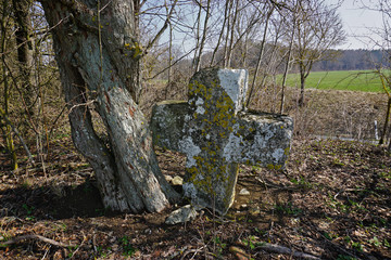 Sühnekreuz, Steinkreuz auf der Schwäbischen Alb bei Altsteußlingen