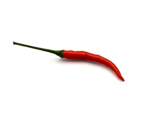 Colorful chili, prepared for Thai cooking8