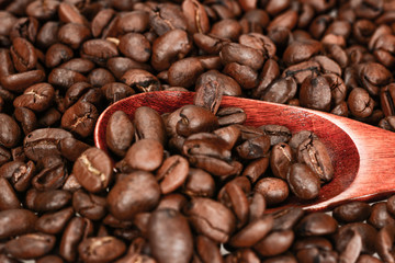 Hard roasted coffee beans, dark brown with spoon close up isolated on a white background