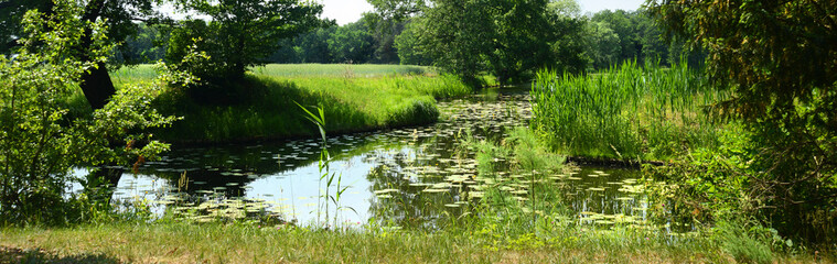 Parklandschaft