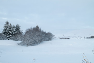 Fototapeta na wymiar paisaje invernal Islandia