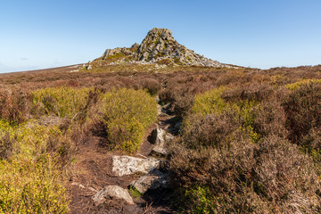 Shropshire landscape at the Stiperstones National Nature Reserve, England, UK
