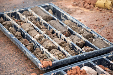 Soil samples in plastic core box