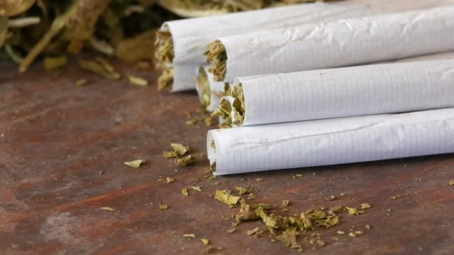 Homemade cigarettes or roll-up stuffed with tobacco are on the table next to dry tobacco leaves