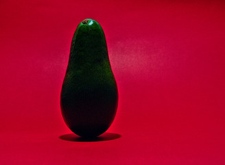 One avocado standing on red background. Upright fresh exotic vegetable. Film grain effect.