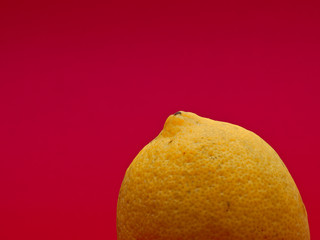 One single lemon isolated on magenta  background.