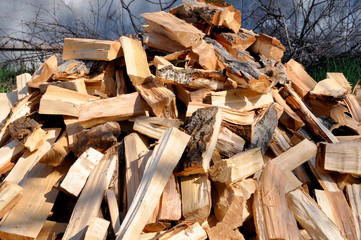 Pile of wood logs for interesting backgrounds and textures. For creative ideas.