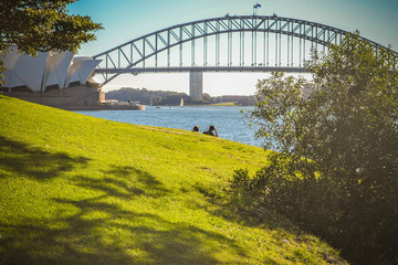 Sydney bay view from Botanic Garden