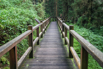 The walkway from wood in taiwan