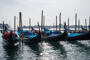 Fototapeta na wymiar Many gondolas tied to long stumps in Venice 