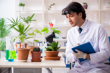 Biotechnology chemist working in lab