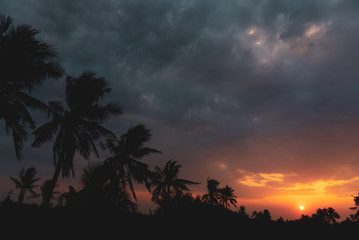 Fototapeta na wymiar Sunset Sunrise Over Field and Coconut tree