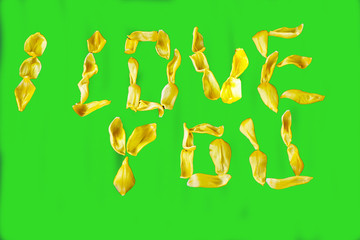 Close-up - yellow tulip petals written - I love you
